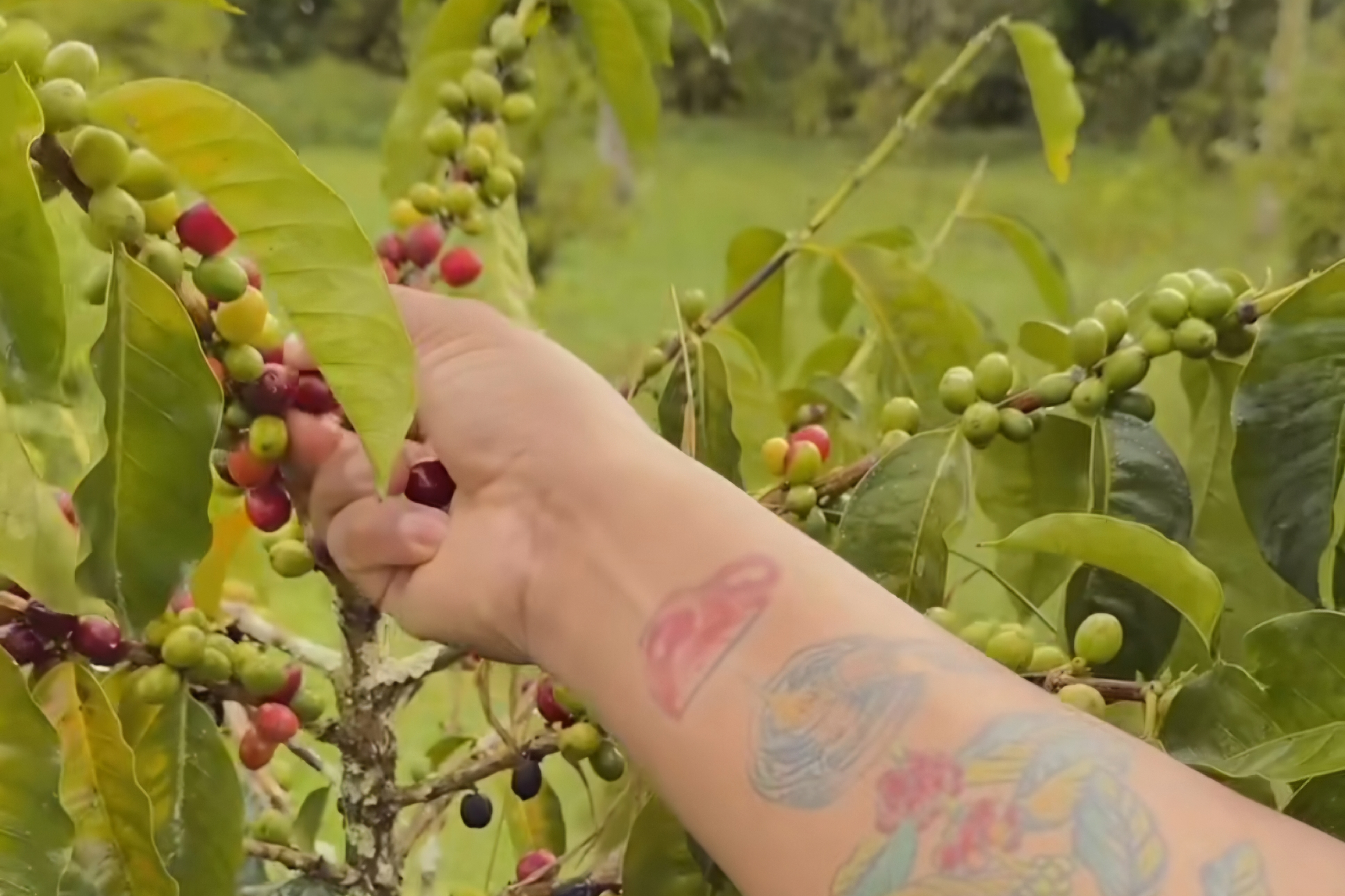 La búsqueda de lo excepcional